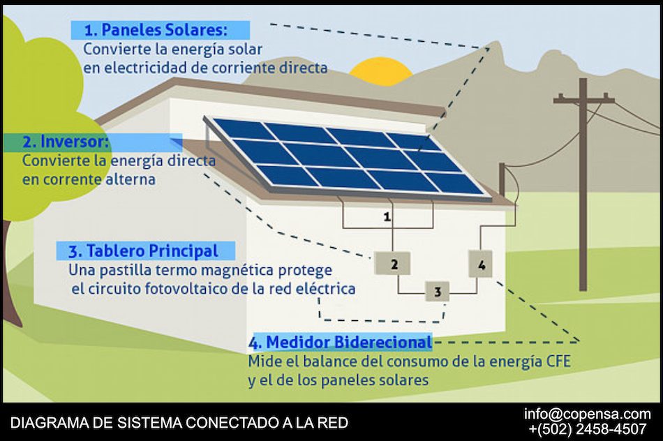 diagrama-red-min