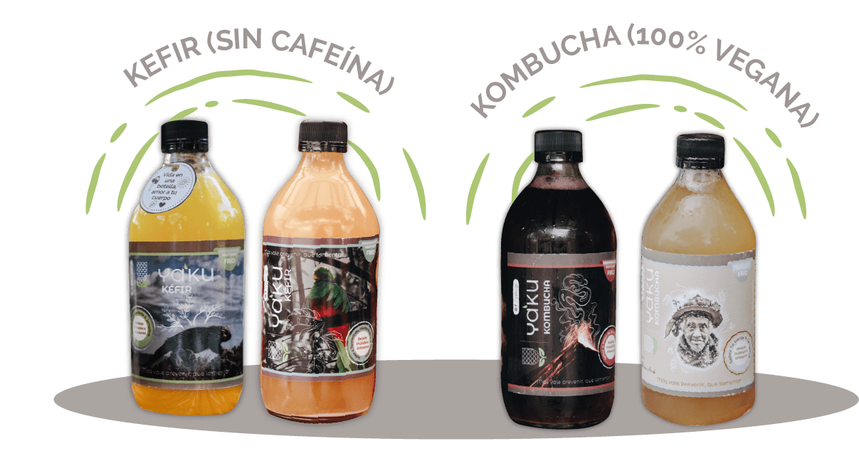 4 sabores -2-20 4 sabores -2-20