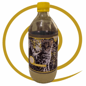 Wild Energy - Maracuyá, Lemongrass y Jengibre - 550ml