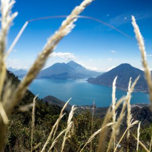CERRO PAPÁ: TRAIL OF OAKS