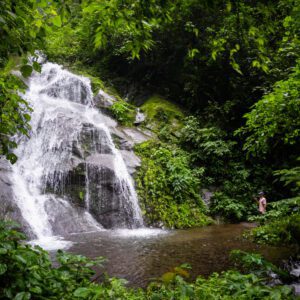 CLOUD FOREST & HIDDEN WATERFALL HIKE
