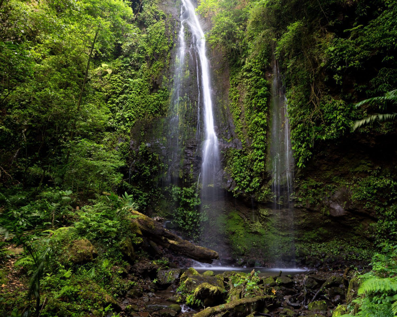 Quetzalio waterfall in the cloud forest of the Rey Tepepul Park in Santiago Atitlan