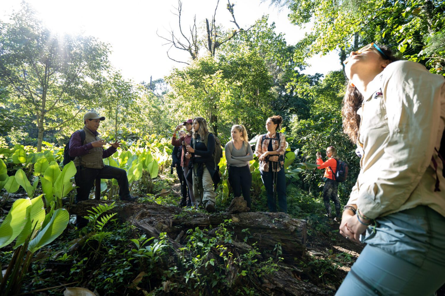Group hike to the Quetzalio Waterfall Hike with a local guide.