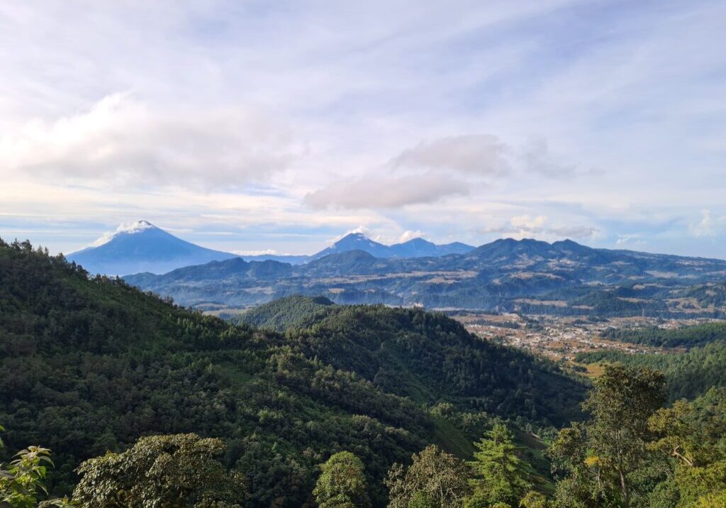 Programa Ambiental 26