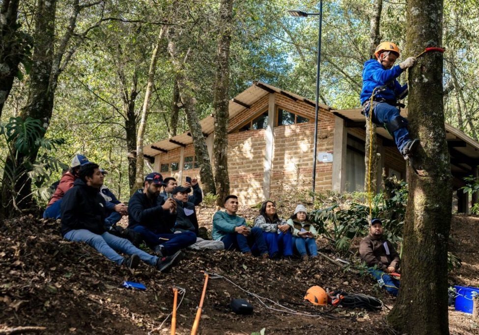 cedracc-vive-experiencia