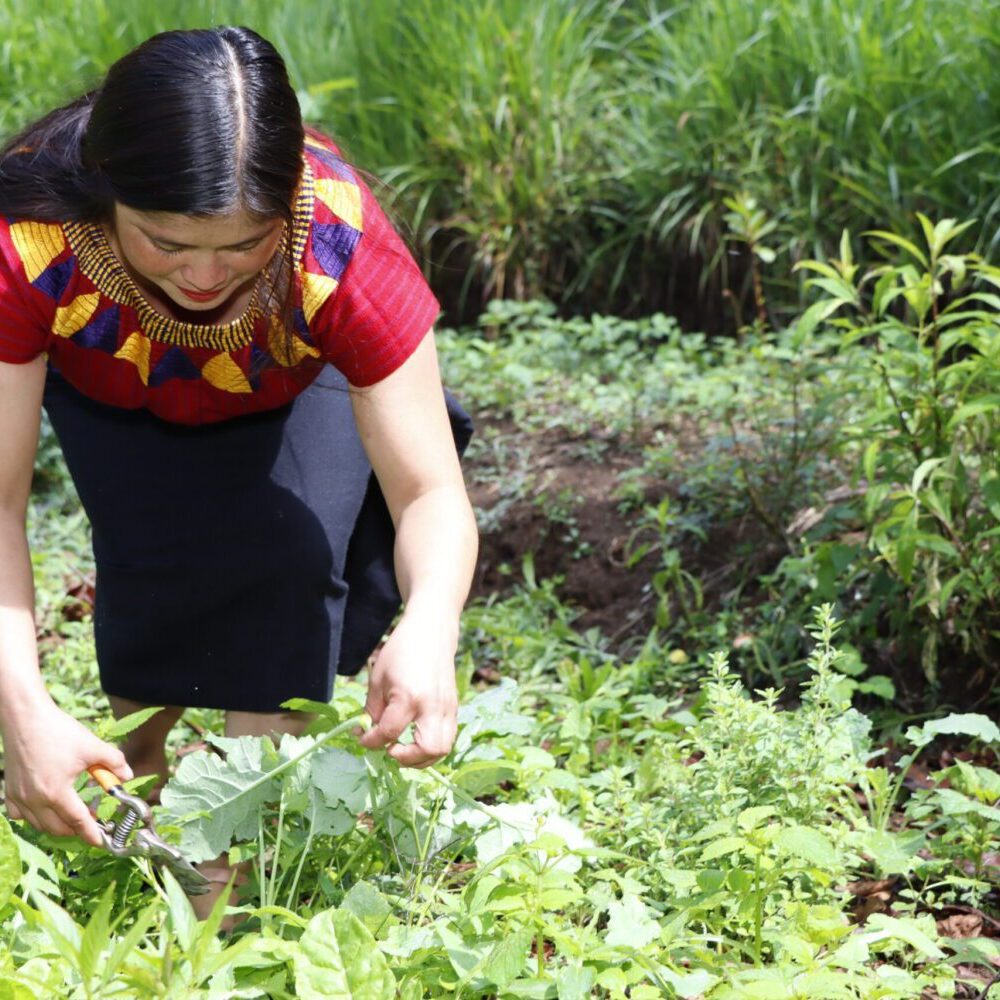 vivamos-mejor-proyecto-de-inversion