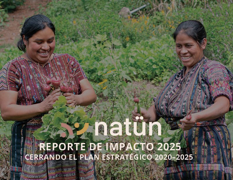 Reporte de impacot original español. Pabs