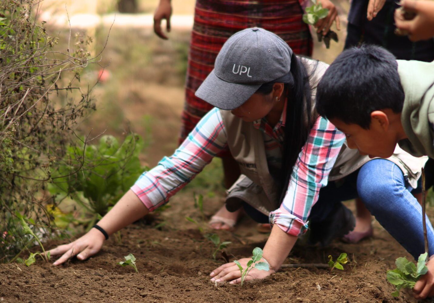 Ancestral Agriculture