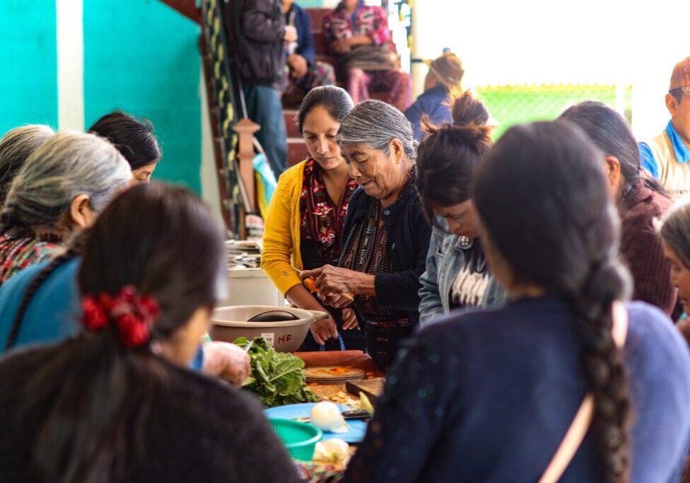 program-nutrition-health