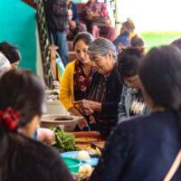 program-nutrition-health